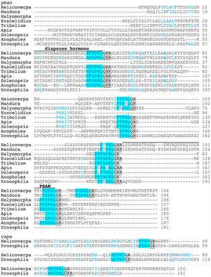 Pheromone biosynthesis activating neuropeptide family in insects: a review